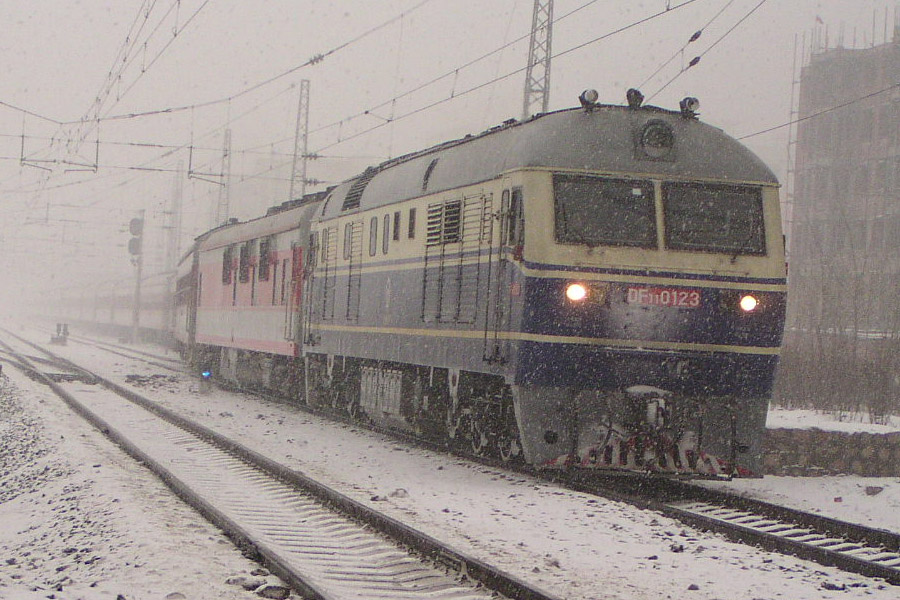 DF11 0123.jpg